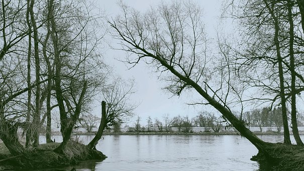 Donau, Flodbred, Himmel, Træer, Eng