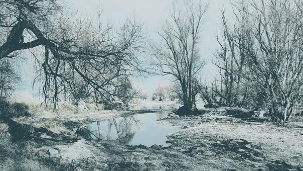 Donau, Flodbred, Himmel, Træer, Eng