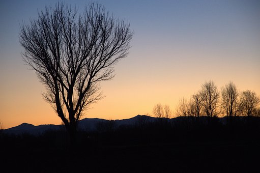 Pôr Do Sol, Arvores, Silhuetas