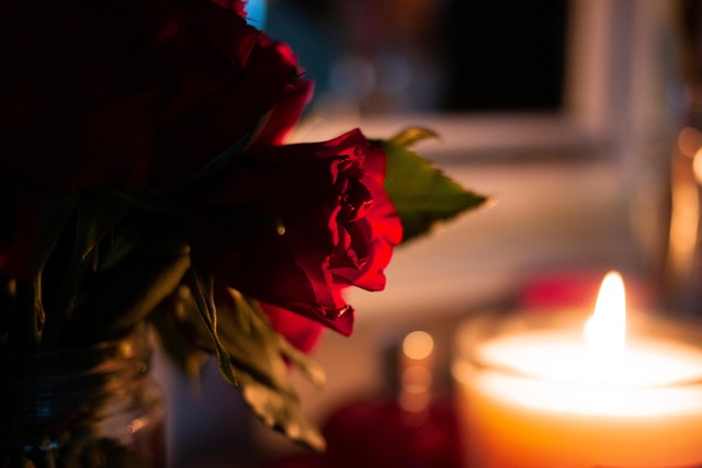 Free Atmosphere Rose photo and picture