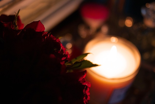 Free Atmosphere Rose photo and picture