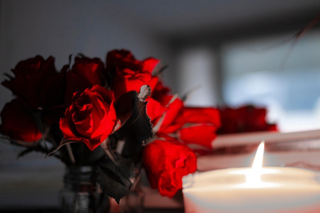 Free Atmosphere Rose photo and picture