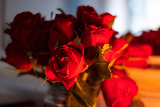 Atmosphäre, Rose, Rosen, Kerze, Heimat