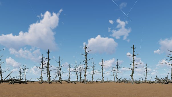 Free Sand Desert photo and picture