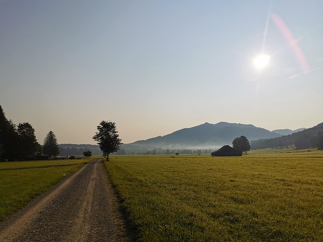 Free Bavaria Sun photo and picture