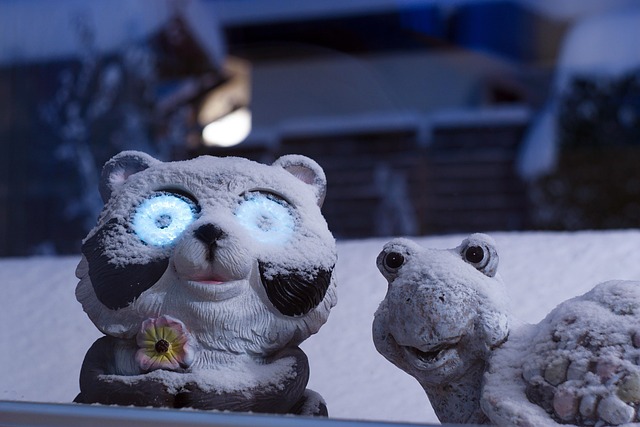 Free Snow Bear photo and picture