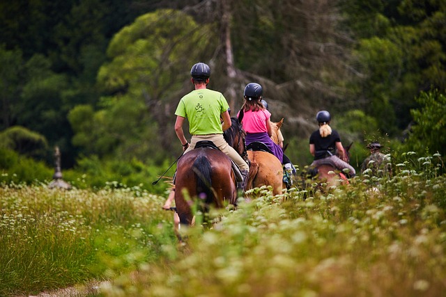 Free Horse Tour photo and picture