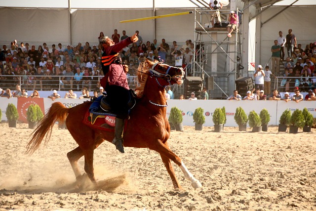 Free Horse Equestrian photo and picture