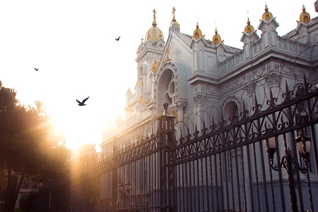Free The Church Seagull photo and picture