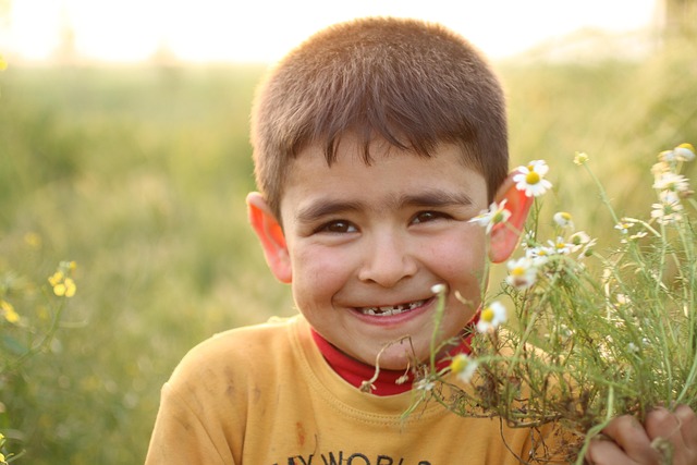 Free Daisy Nature photo and picture