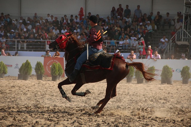 Free Horse Activity photo and picture