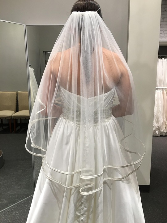 Bride Veil Wedding Free photo on Pixabay Pixabay