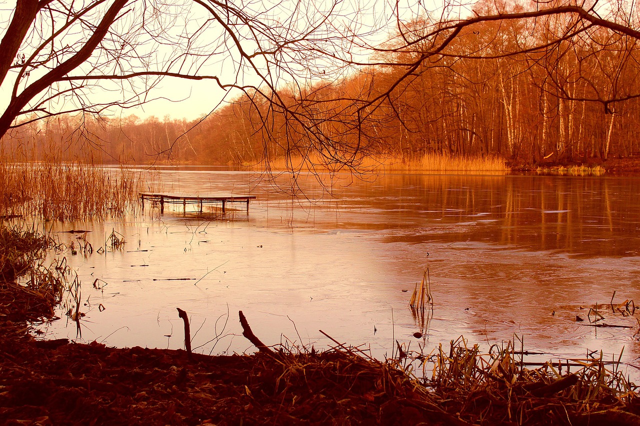 湖 树木 码头 - Pixabay上的免费照片 - Pixabay