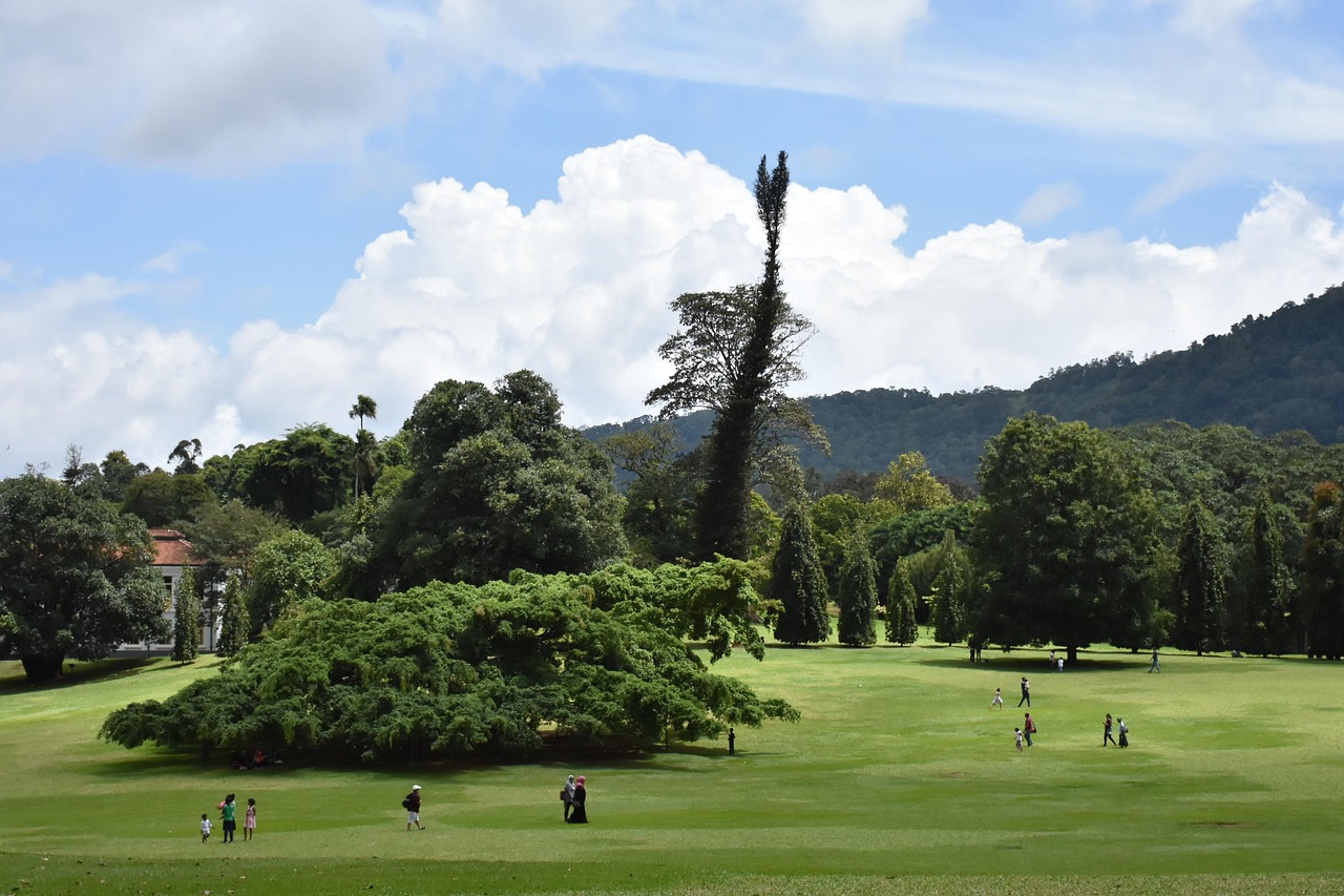 peradeniya-botanical-garden-sri-free-photo-on-pixabay