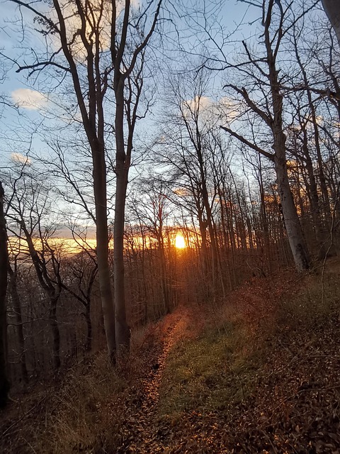Free Sonnenuntergang Sunset photo and picture