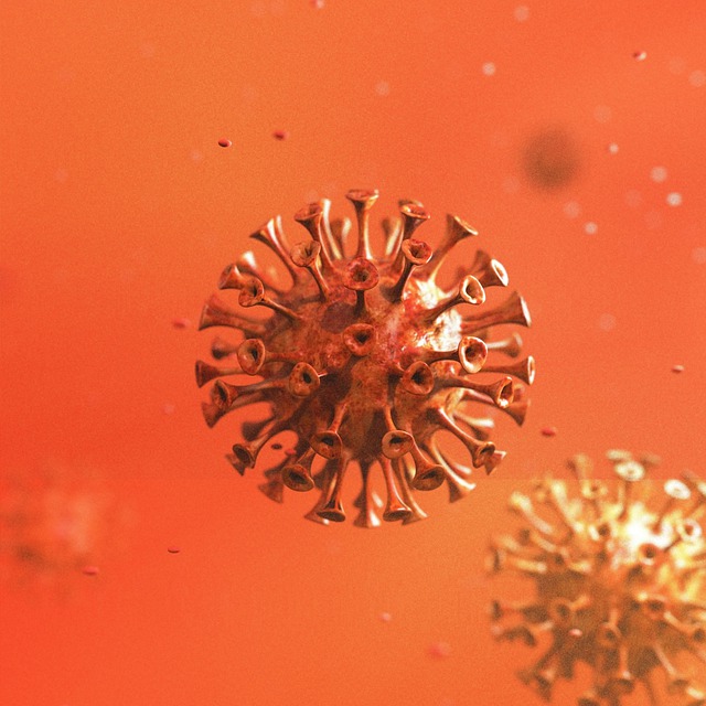 Free Coronavirus Covid illustration and picture