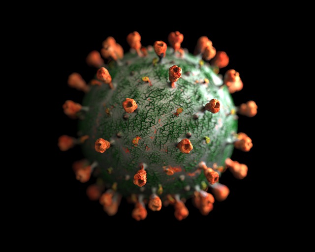 Free Covid Coronavirus illustration and picture