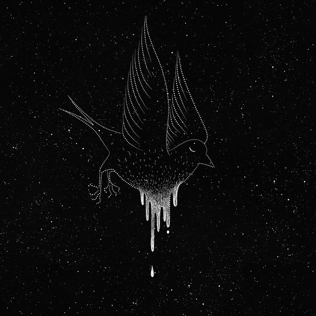 Free bird nature stars illustration