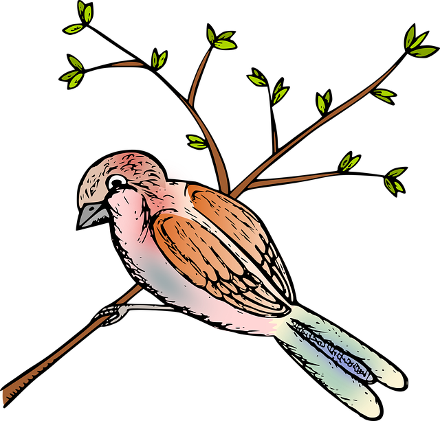Free sparrow bird perched vector