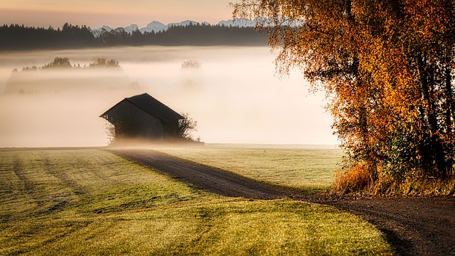 Fog jigsaw puzzle