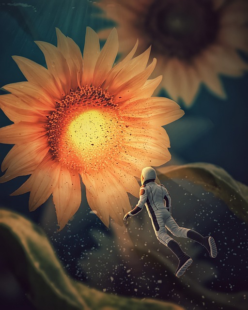 Free Underwater Space photo and picture