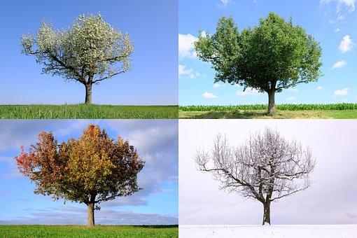 Free Seasons 4 Seasons photo and picture