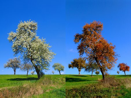 Free Spring And Autumn Seasons photo and picture