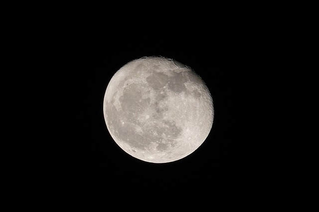 Free Moon Night photo and picture