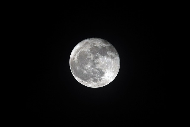Free Moon Night photo and picture