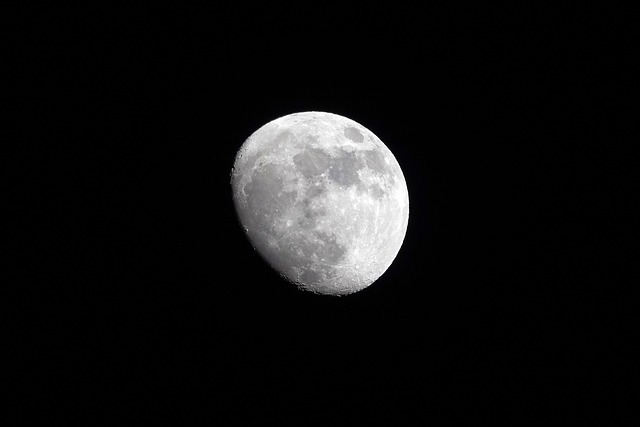 Free Moon Night photo and picture
