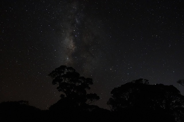 Free Stars Night photo and picture