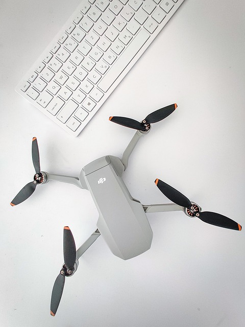 Dji, Mavic, Mini, Dron, Fly