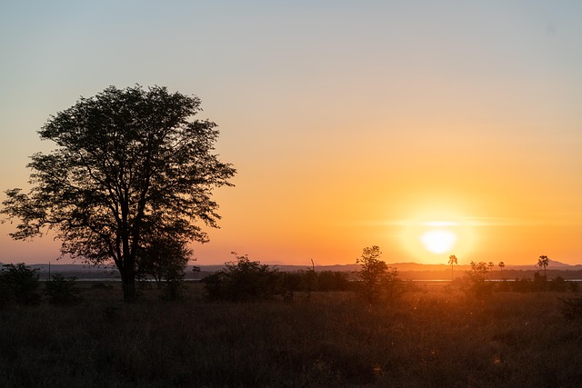Free Malawi Liwonde photo and picture