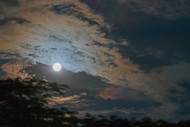 Free Moon Africa photo and picture