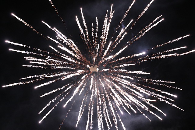 Free Fireworks New Year photo and picture