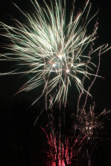 Free New Year Fireworks photo and picture