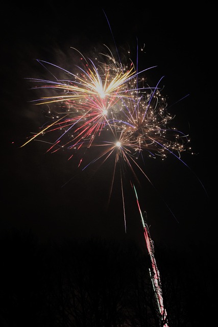 Free New Year Fireworks photo and picture