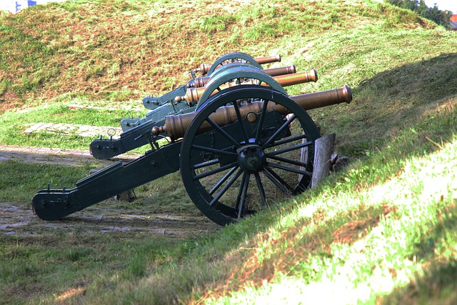 Free Cannons War photo and picture