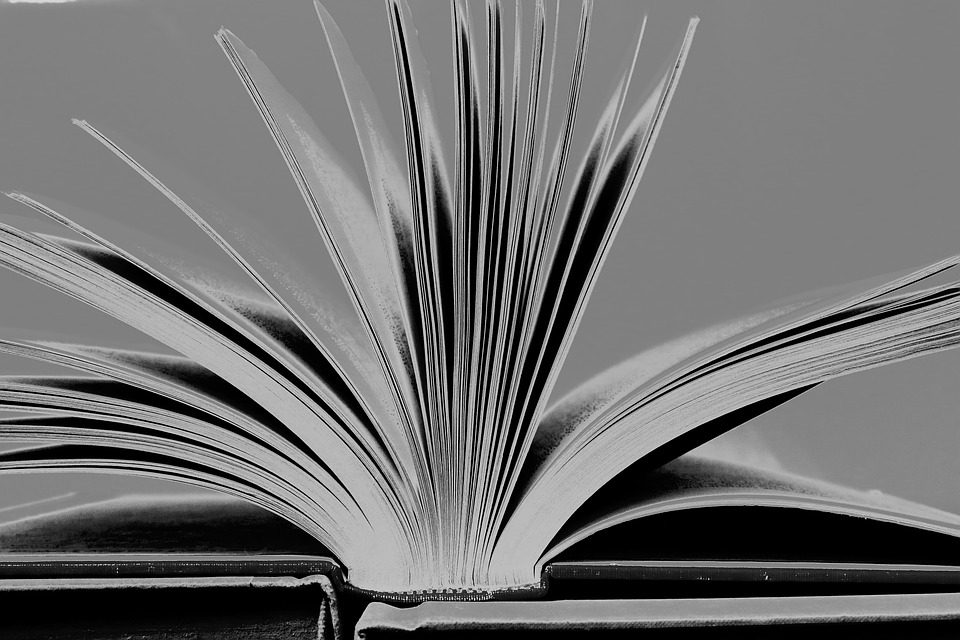 Black And White Free photo on Pixabay