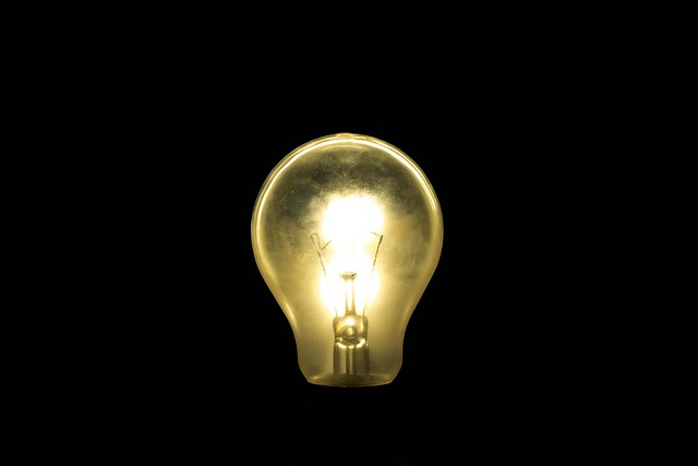 Free Bulb Light photo and picture