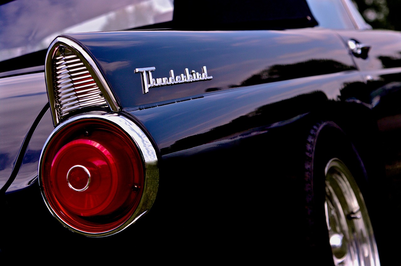 Thunderbird - free online jigsaw puzzle photo