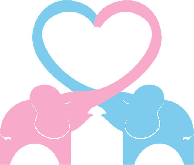 Free elephants love couple vector
