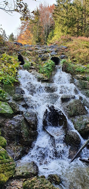 Free Nature Waterfall photo and picture