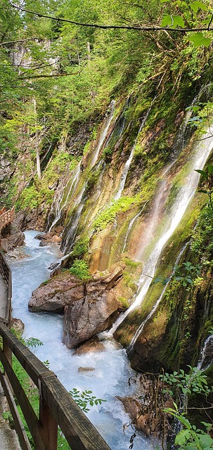 Free Berchtesgaden Clammy photo and picture