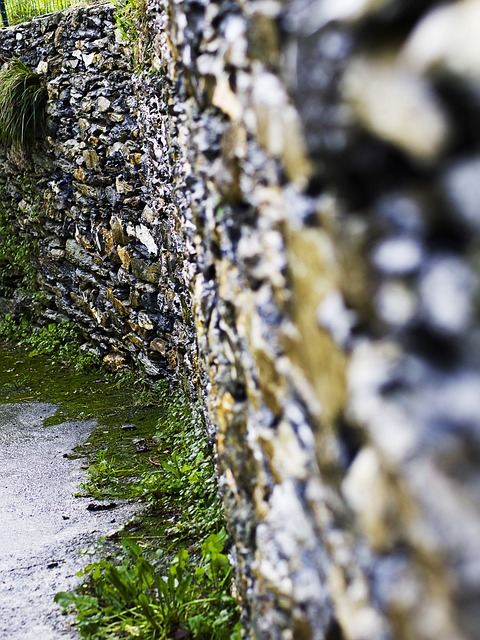 Free Path Mountain photo and picture