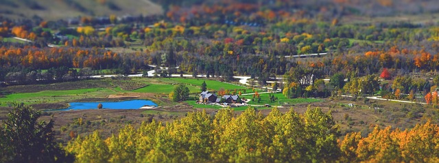 Natur, Baum, Tilt Shift