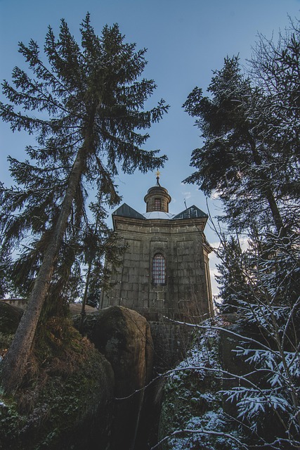 Free Chapel Trees photo and picture