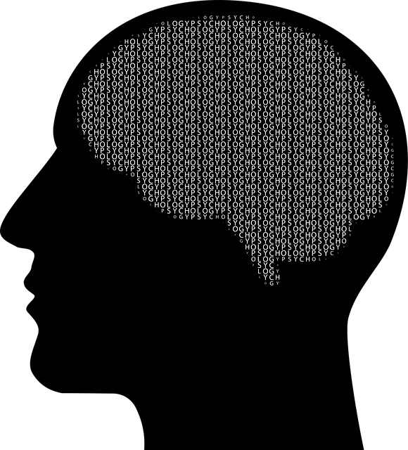 Download free HD stock image of Man Brain Free man brain psychology vector