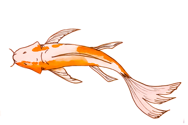 Download free HD stock image of Fish Carp Free fish carp watercolor illustration