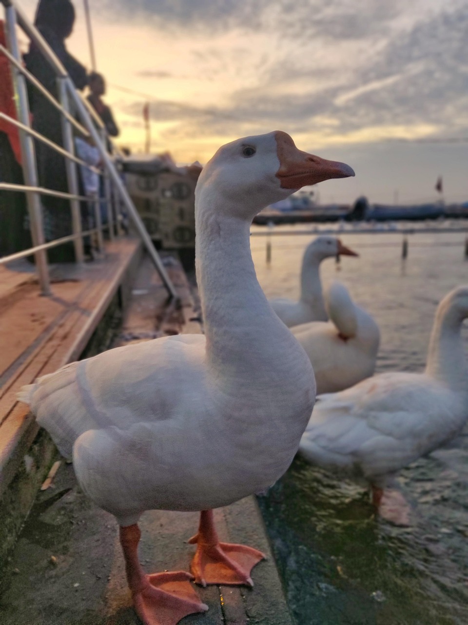 Bhopal